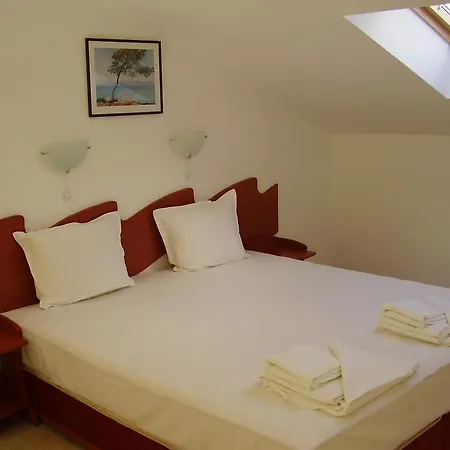 Alpina Hotel Lozenets
